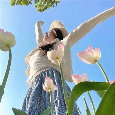 大唐女法医